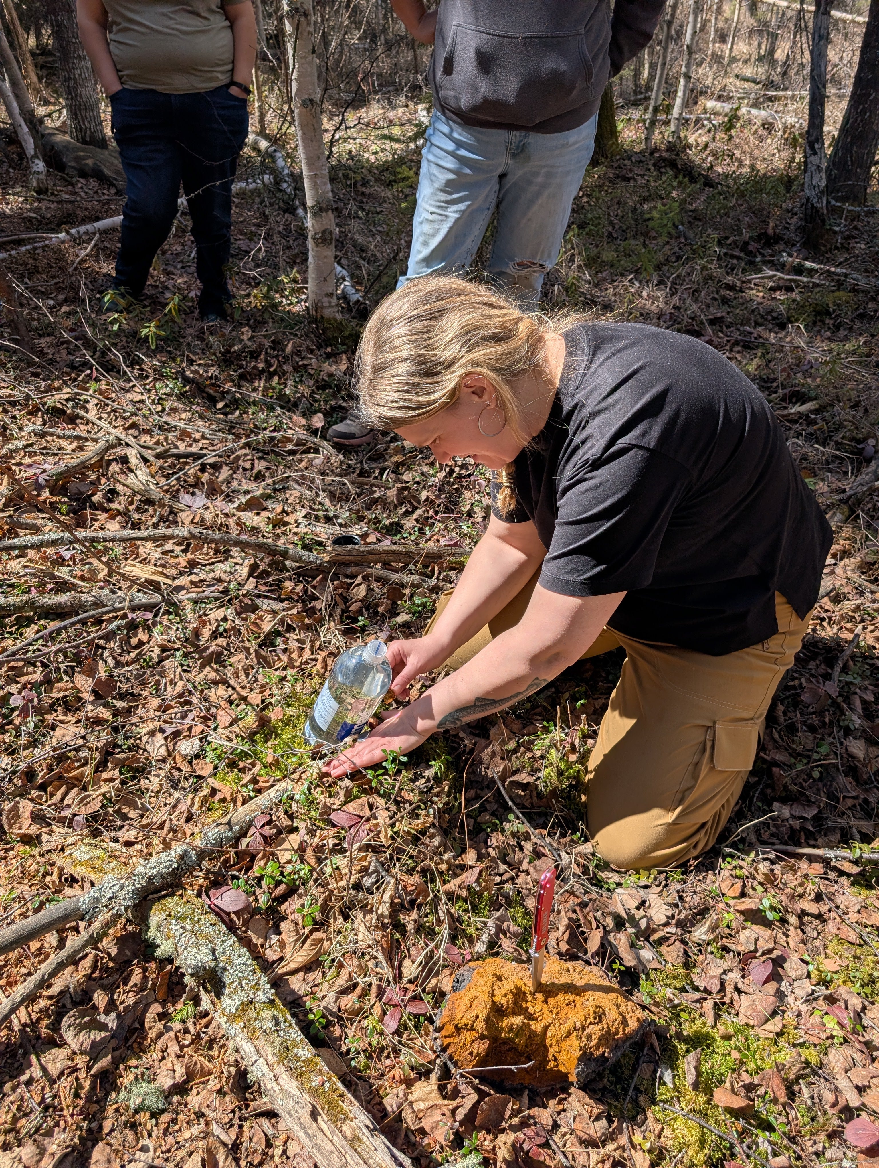 Primitive Fire & Survival Training - 1 Day Course May 16
