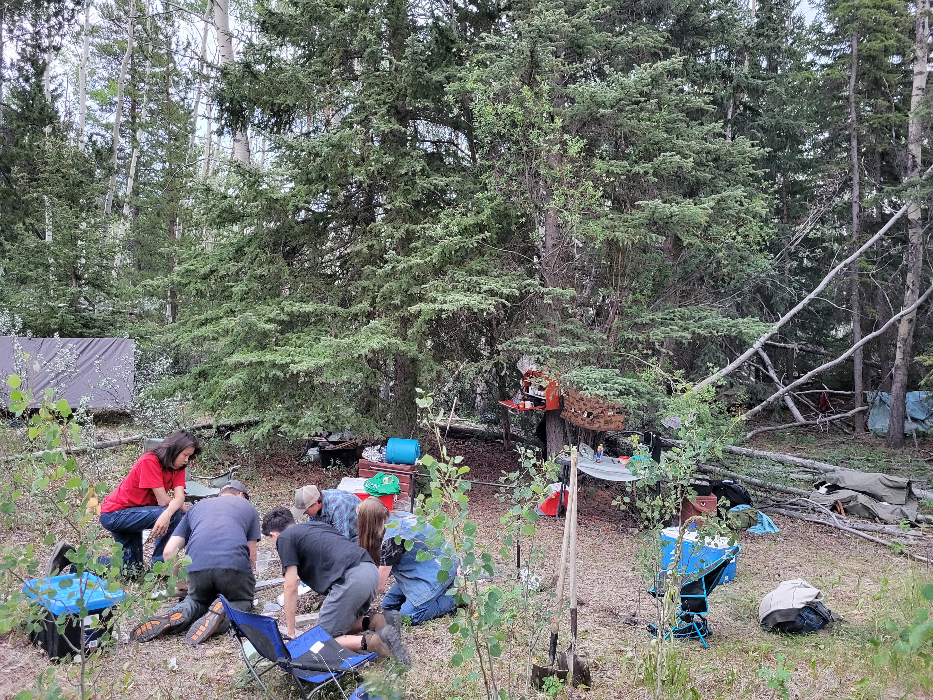 Primitive Fire & Survival Training - 1 Day Course