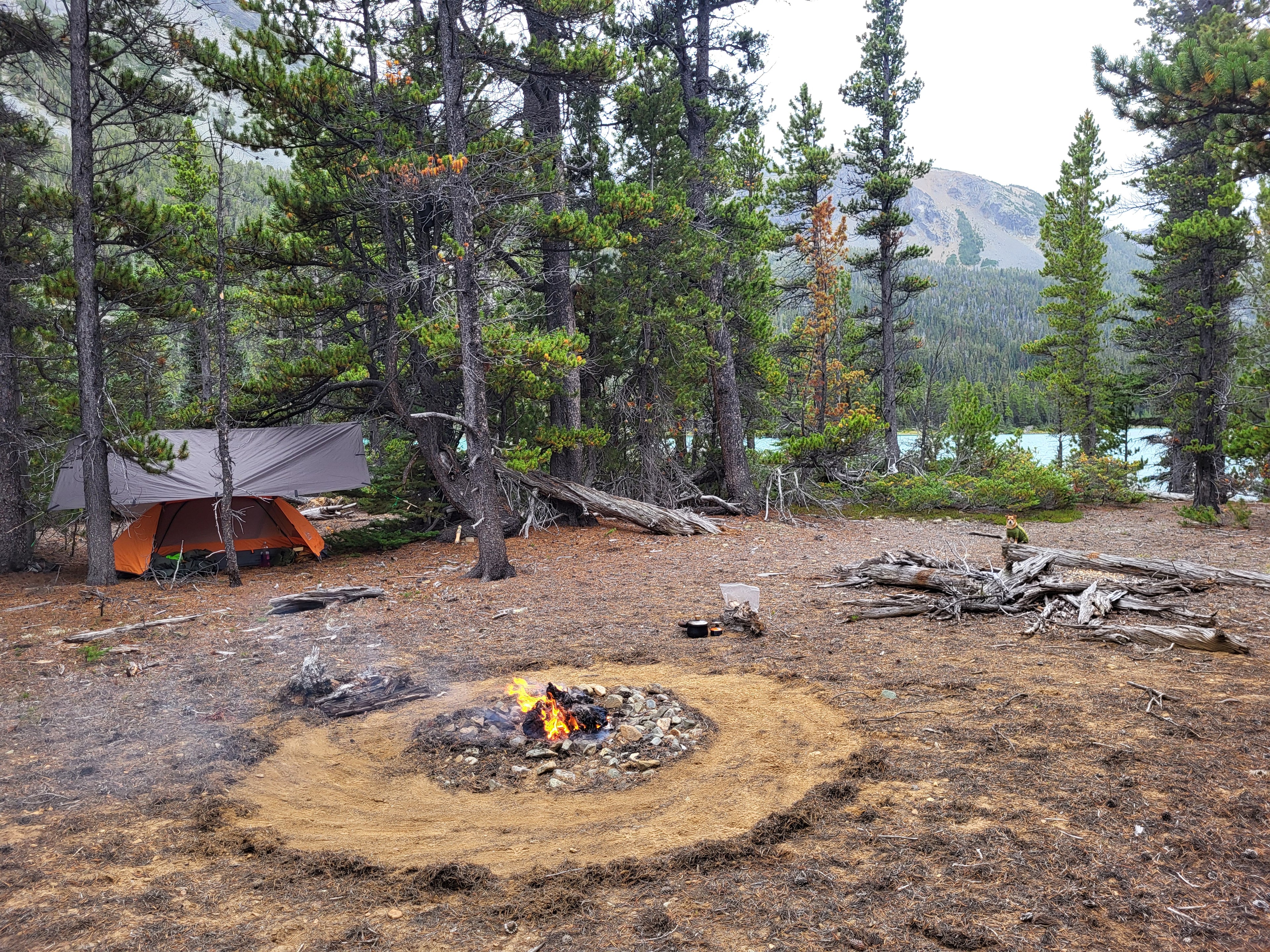 Primitive Fire & Survival Training - 1 Day Course
