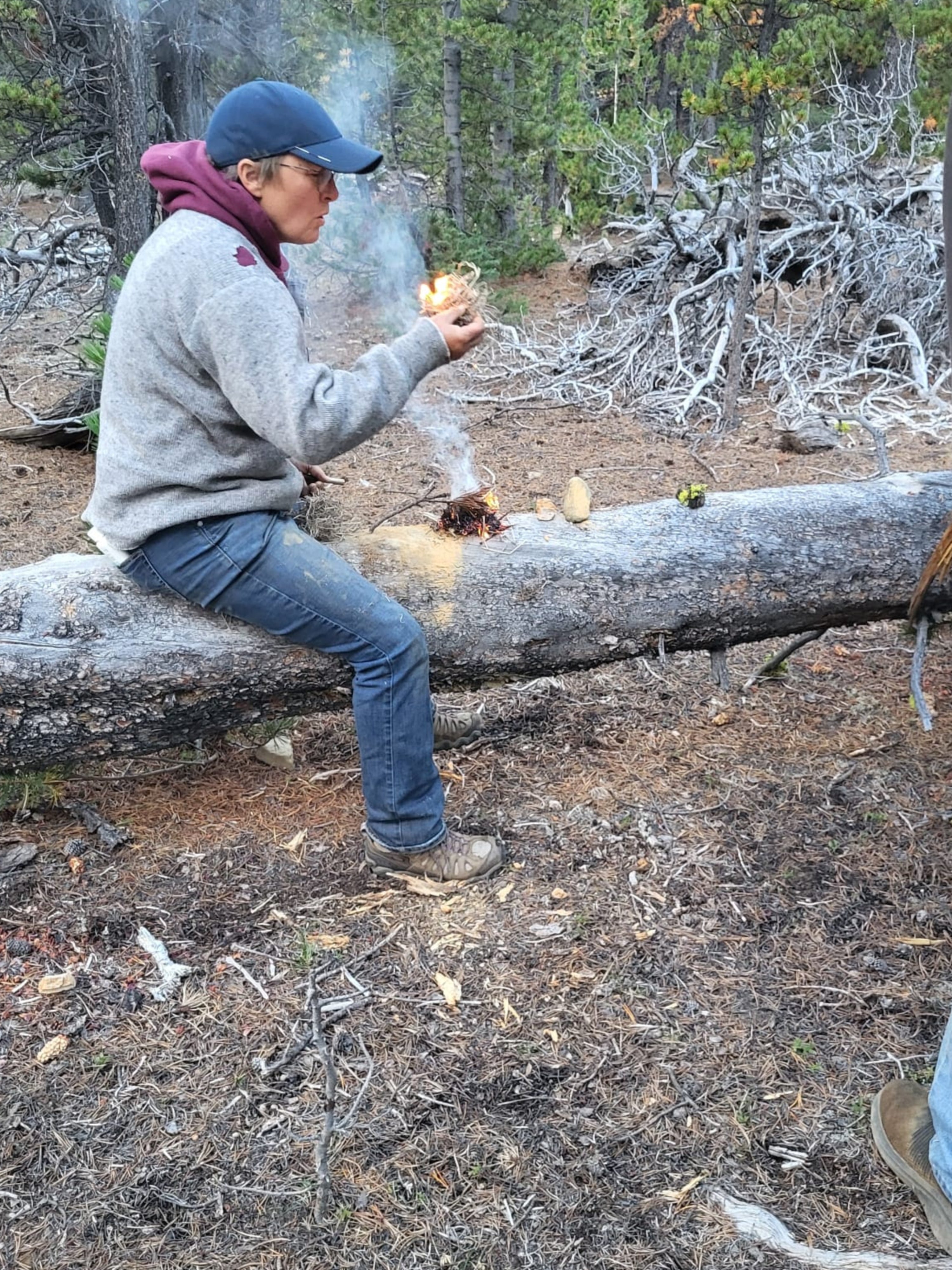 Person sitting on a log in a forest, holding a small object.